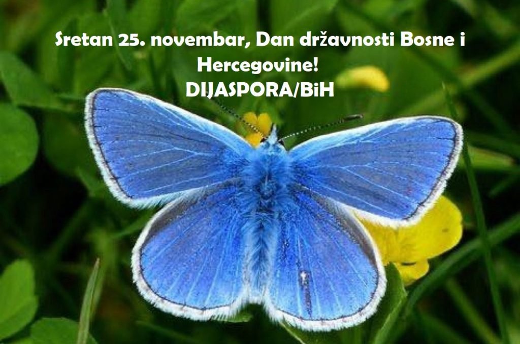 Domovino Naša, Sretan Ti 25. Novembar, Dan Državnosti Bosne I ...